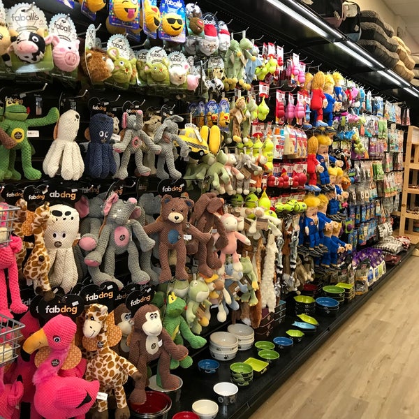 винтажный книжный магазин. зоомагазин западный. Pet shop new york city. кошка в магазине. магазин животных.