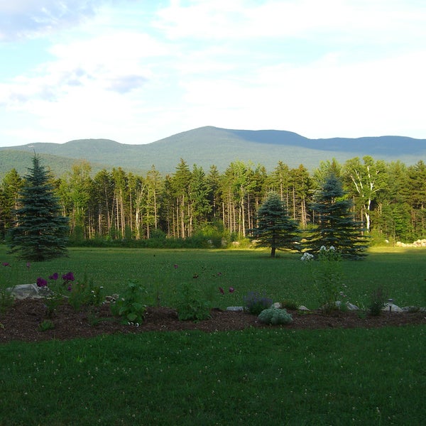 View from the property.
