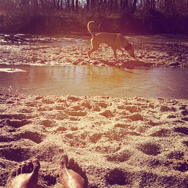 Cherry Creek Dog Park 10 tips