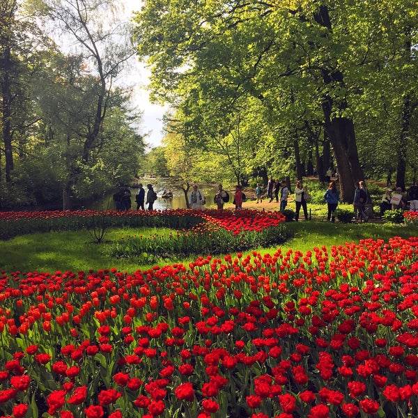 รูปภาพถ่ายที่ Kirov Central Park / Yelagin Island โดย Юлия К. เมื่อ 5/18/2016