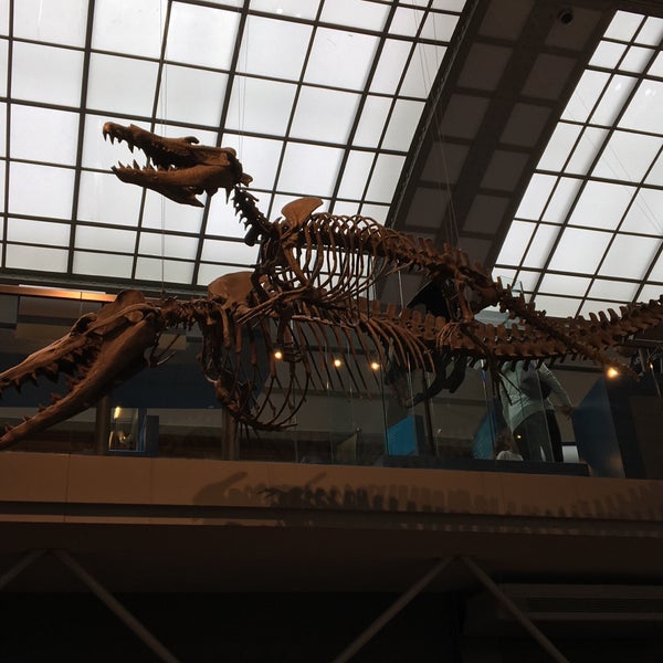 Photo taken at Museum of Natural Sciences by Ruben H. on 2/22/2020