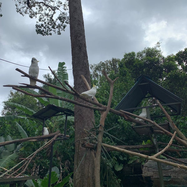 Photo taken at Zoo Melaka by Mila M. on 12/17/2021