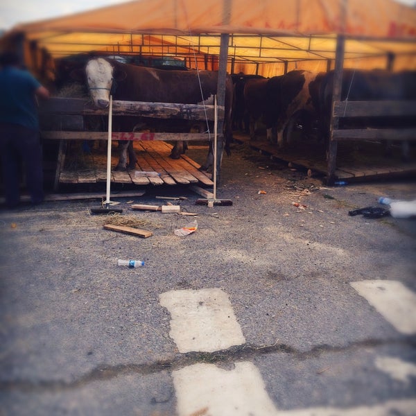 Elif Et Kombinası Aydınlı İstanbul, İstanbul�da fotoğraflar