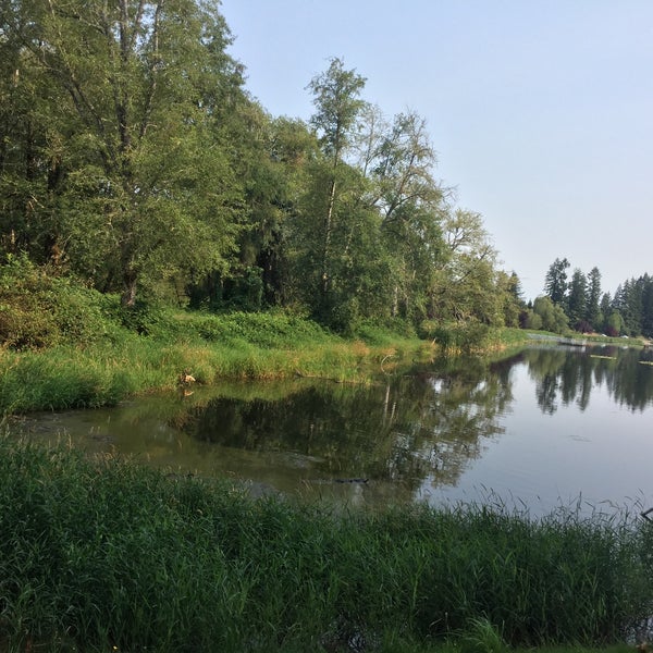 Vernonia Lake Lake in Vernonia