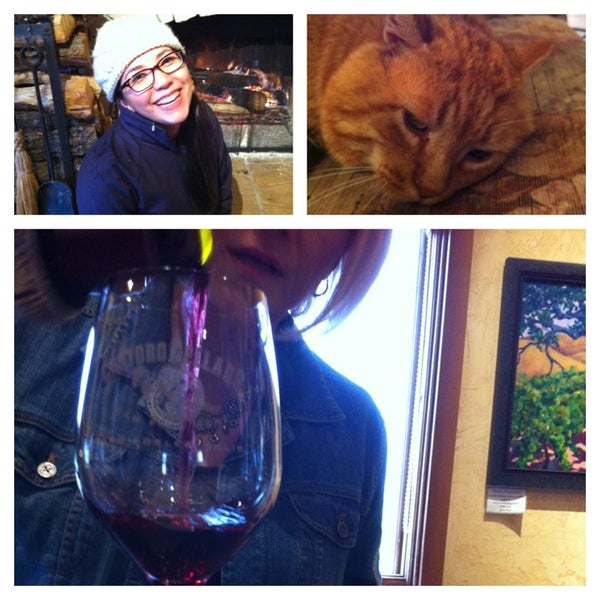 Photo taken at Castoro Cellars by Stacy B. on 12/23/2012