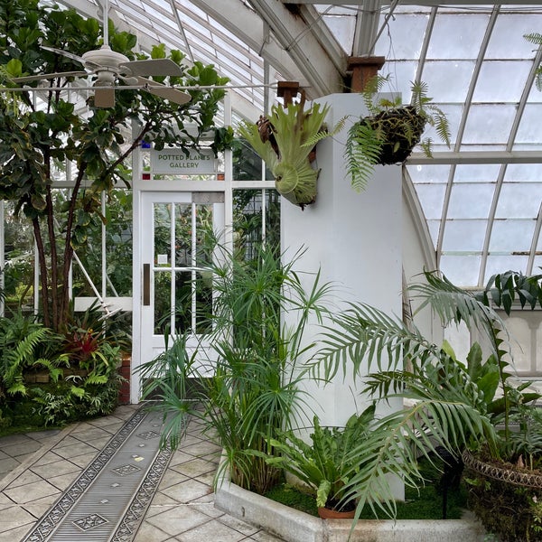 Photo taken at Conservatory of Flowers by Rei Alexandra A. on 8/26/2023