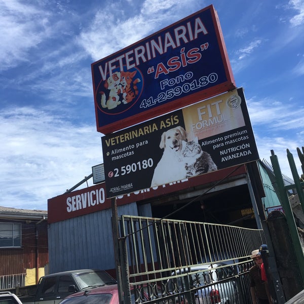 VETERINARIA ASIS, TALCAHUANO VETERINARIA ASIS, TALCAHUANO