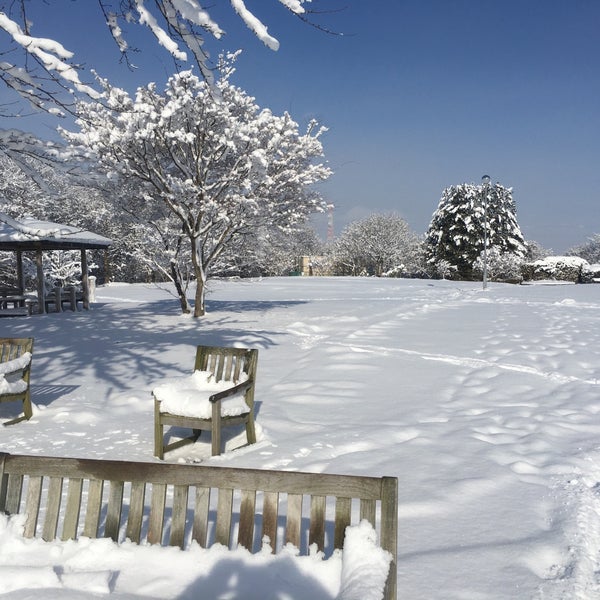 Photos At 化女沼ピクニックエリア 大崎市 宮城県