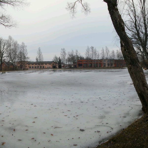Рауна латвия