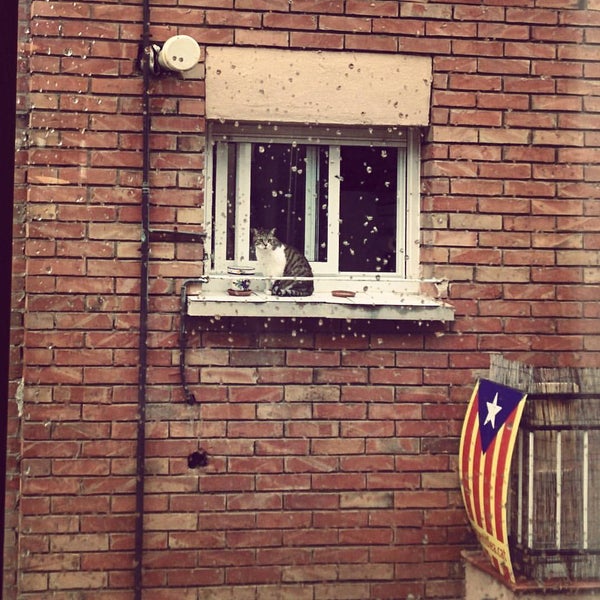 9/30/2015 tarihinde Ricardziyaretçi tarafından betahaus I Barcelona'de çekilen fotoğraf