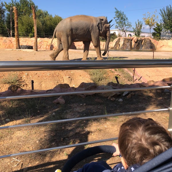 10/28/2021 tarihinde Jimmy D.ziyaretçi tarafından Attica Zoological Park'de çekilen fotoğraf