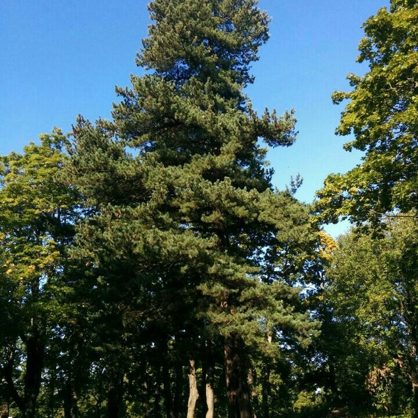 Фотографии Гарболово Церковь