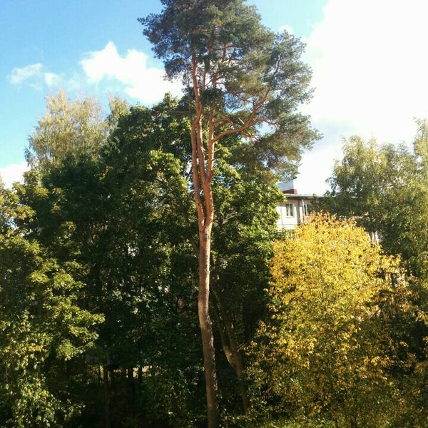 Фотографии Гарболово Церковь
