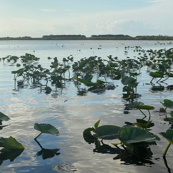 รูปภาพถ่ายที่ Everglades Holiday Park โดย Krystin W. เมื่อ 12/20/2020