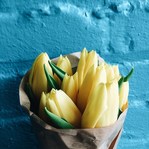 Zinc Total Salon - Danville, VA