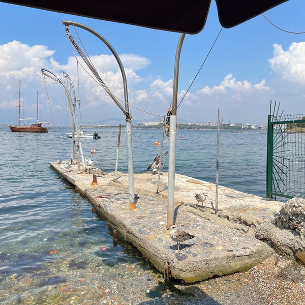 8/27/2022 tarihinde Aytqziyaretçi tarafından Tuzla Yat Kulübü Restaurant'de çekilen fotoğraf