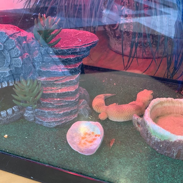 Grease Monkey 2 tips from 53 visitors