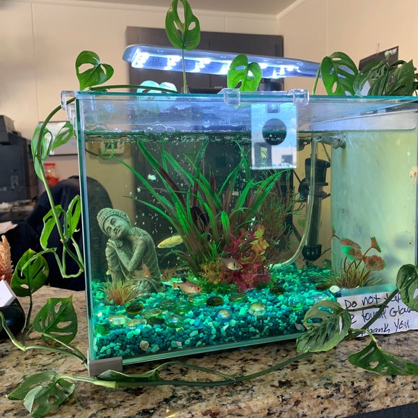 Grease Monkey 2 tips from 53 visitors