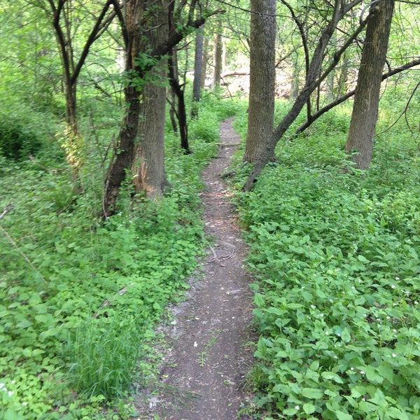 Forest Preserve Park Ridge, IL