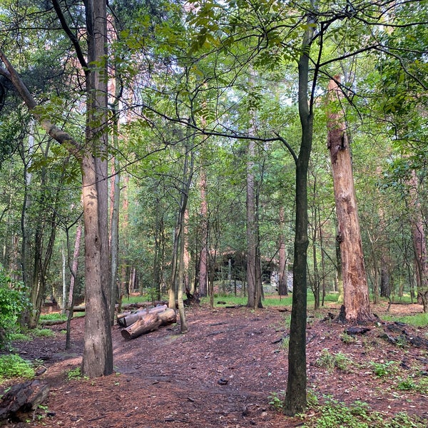 รูปภาพถ่ายที่ Bosque de Tlalpan โดย Rigo G. เมื่อ 7/10/2021