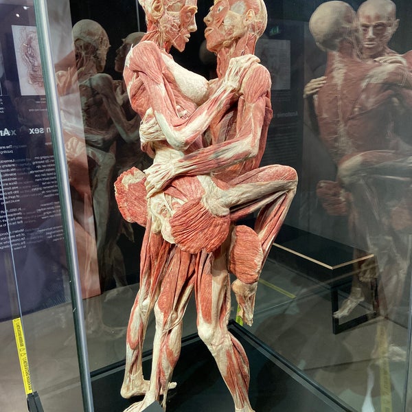 Photo taken at Body Worlds by Gilles D. on 7/3/2020