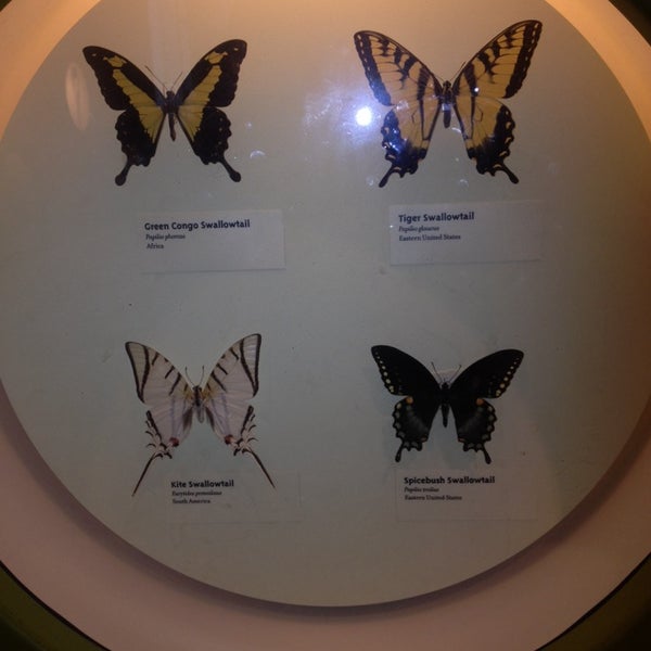 Foto diambil di Butterfly House oleh Sarah H. pada 2/15/2014.