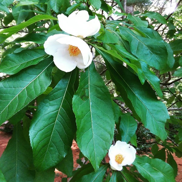 Photos at ArmstrongKelley Park 42 visitors