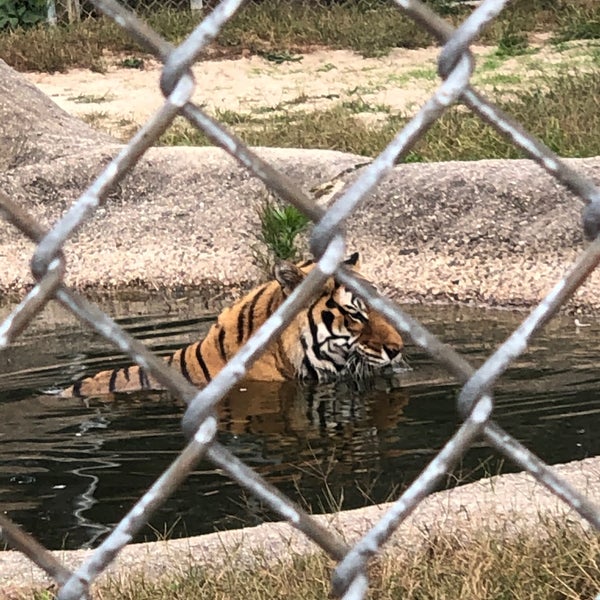 Photos at Popcorn Park Zoo Zoo in Forked River