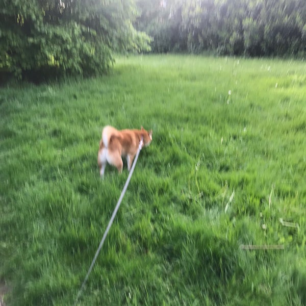 South Ockendon West Thurrock Essex, Essex