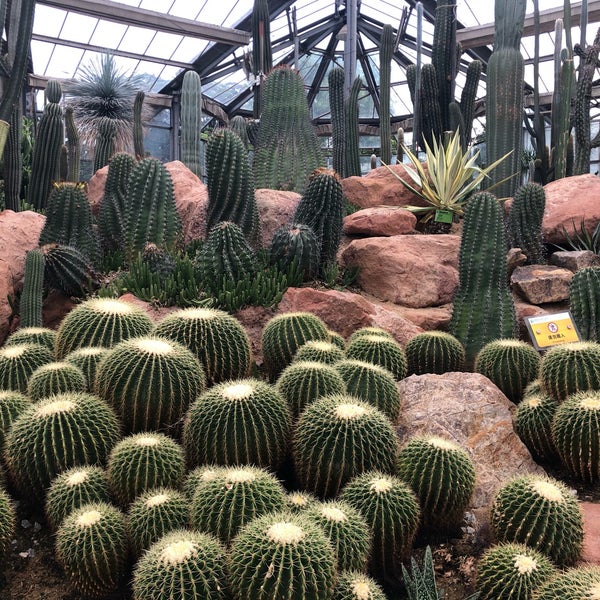 Photos At 华南植物园温室群景区 Botanical Garden In Guangzhou