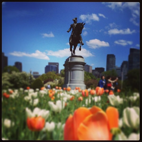 Fotos en Boston Public Garden - Jardín en Boston