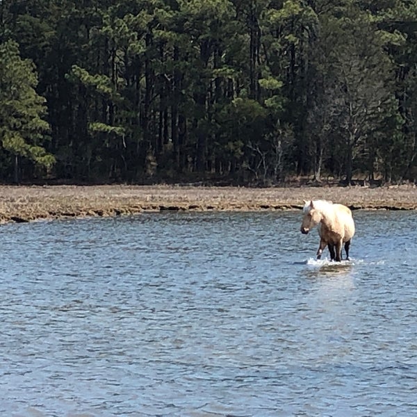 Photo taken at Daisey&#39;s Island Cruises/ Scenic Boat Tour by Sandy R. on 4/7/2019