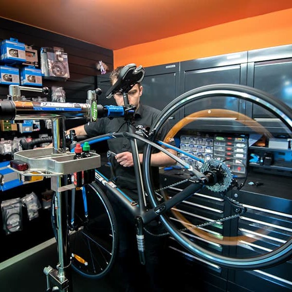 Dobbies bike shop cheap