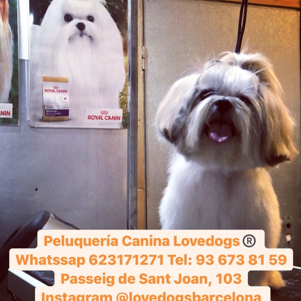 Photo taken at Lovedogs®️ by Lovedogs ®. on 2/18/2021