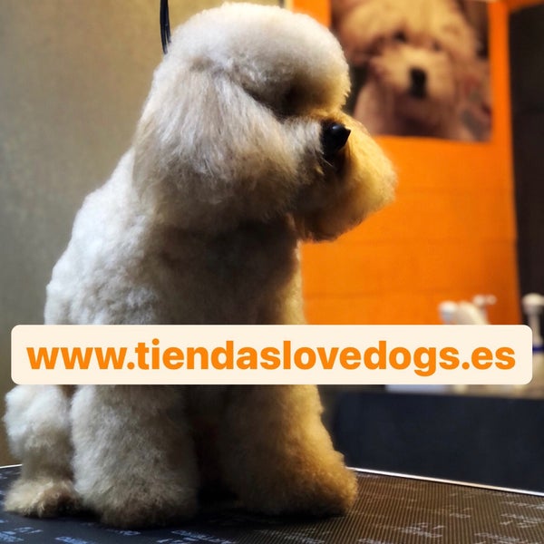Photo taken at Lovedogs®️ by Lovedogs ®. on 2/18/2021
