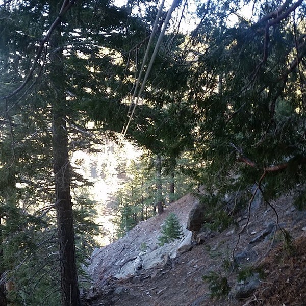 Big Pines Zipline Tours Wrightwood, CA