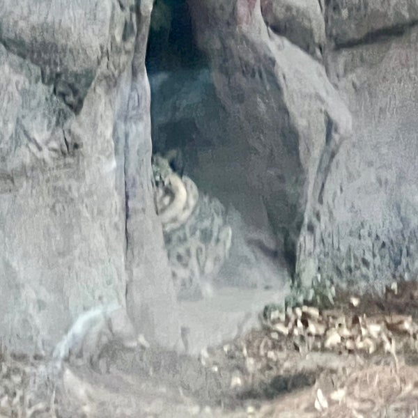 Photo prise au Zoológico de Chapultepec par Edgar P. le4/28/2024