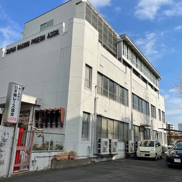 Photos At 日本鳩レース協会 上野 292 Visitors