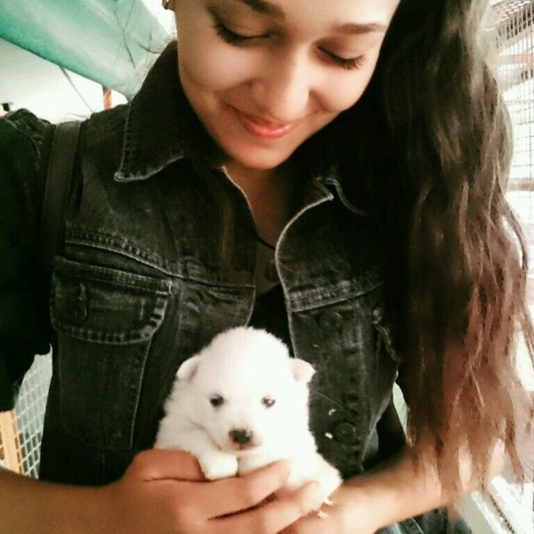 Lara dog. Lara dog