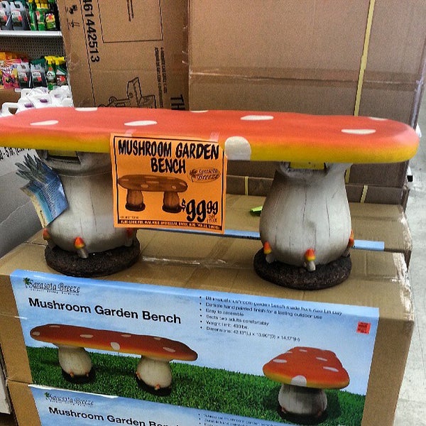 Ollie's Bargain Outlet Outlet Store in Mt Airy