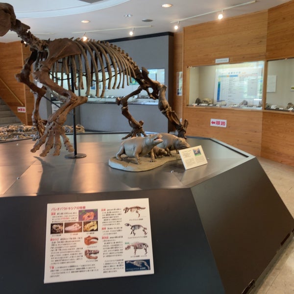 Photos At おがの化石館 小鹿野町 埼玉県