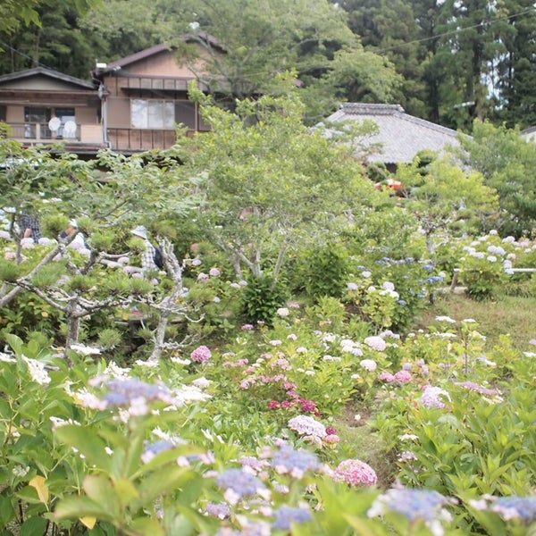 Photos At 実谷山 極楽寺 あじさい寺 Buddhist Temple In 周智郡森町