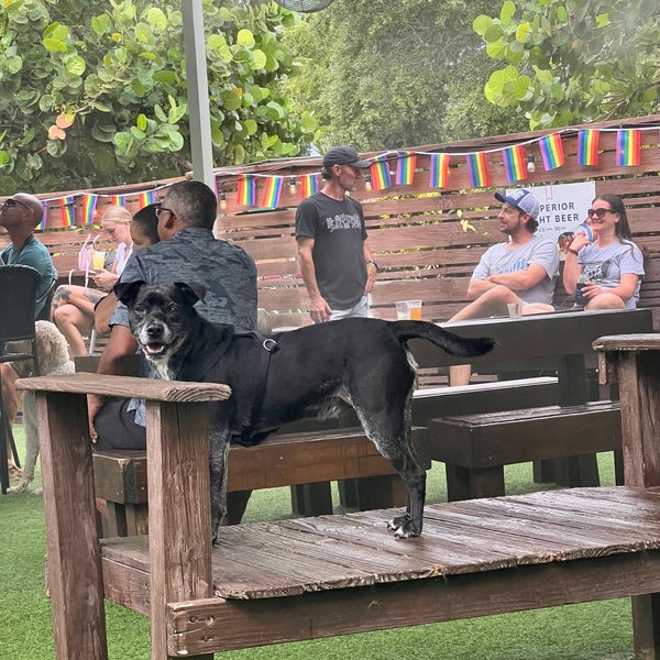 รูปภาพถ่ายที่ Dog Bar Saint Pete โดย Michaela D. เมื่อ 6/24/2022