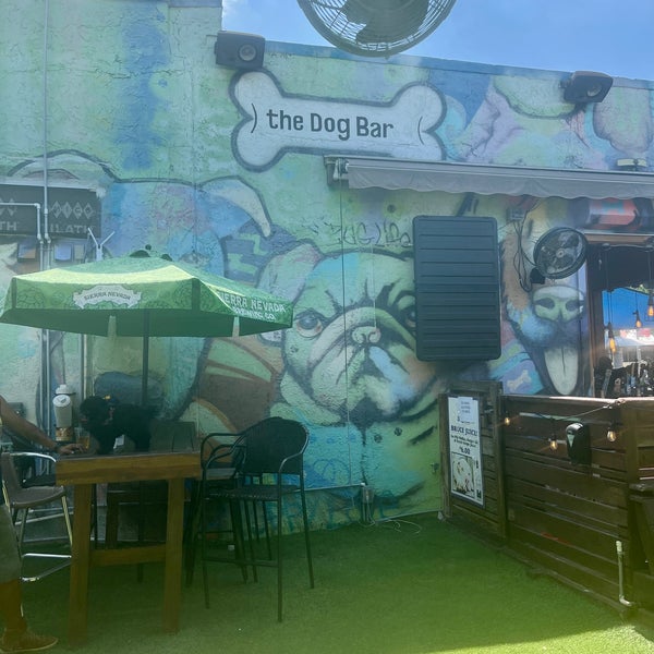 รูปภาพถ่ายที่ Dog Bar Saint Pete โดย Michaela D. เมื่อ 6/17/2022