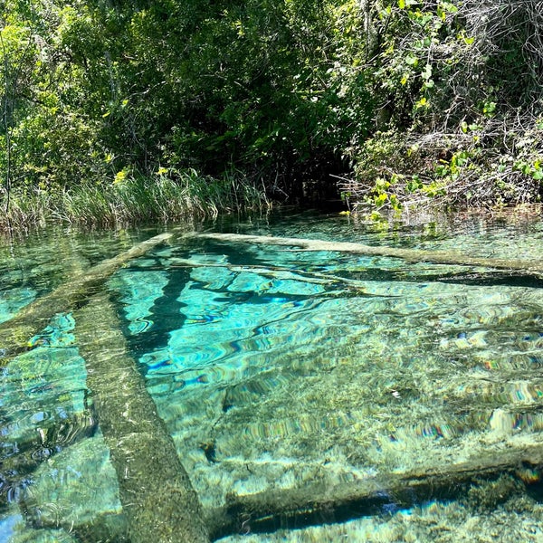 Rainbow Spring State Park - State or Provincial Park in Dunnellon