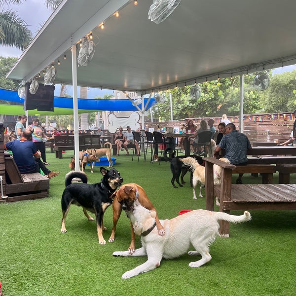 รูปภาพถ่ายที่ Dog Bar Saint Pete โดย Michaela D. เมื่อ 6/24/2022