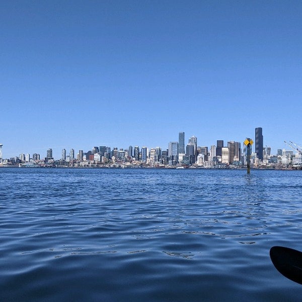 Alki Kayak Tours North Admiral Seattle, WA
