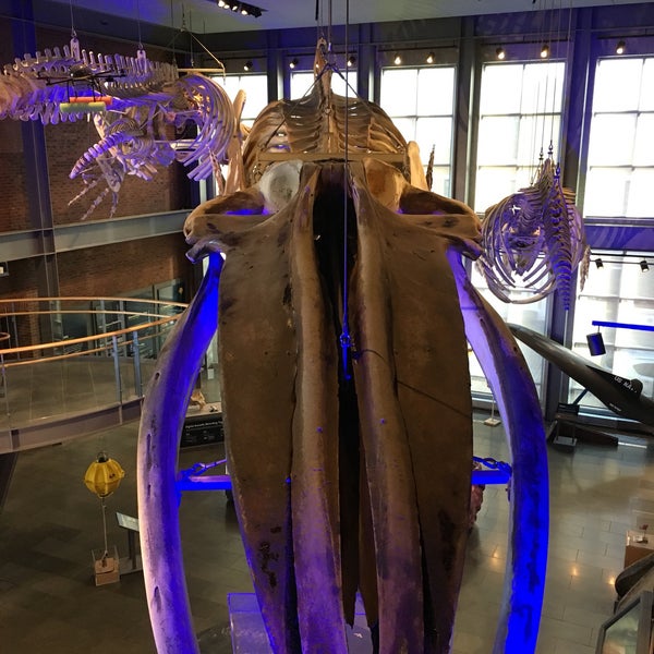 Foto tomada en New Bedford Whaling Museum  por Valerie P. el 1/6/2019