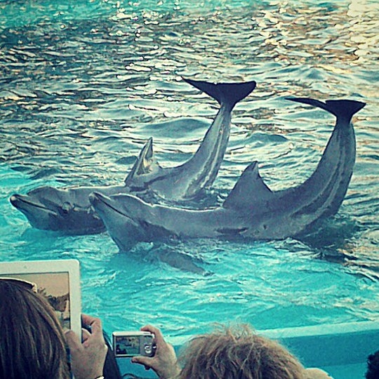 Mundo Marino Aquarium in San Clemente del Tuyú