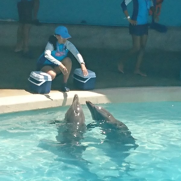 Foto tirada no(a) Aquarium Cancun por Ness em 3/26/2018